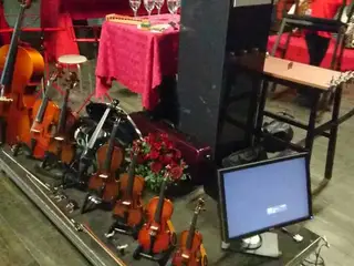 Vonós hangszerek sorban a színpadon, vörös rózsákkal